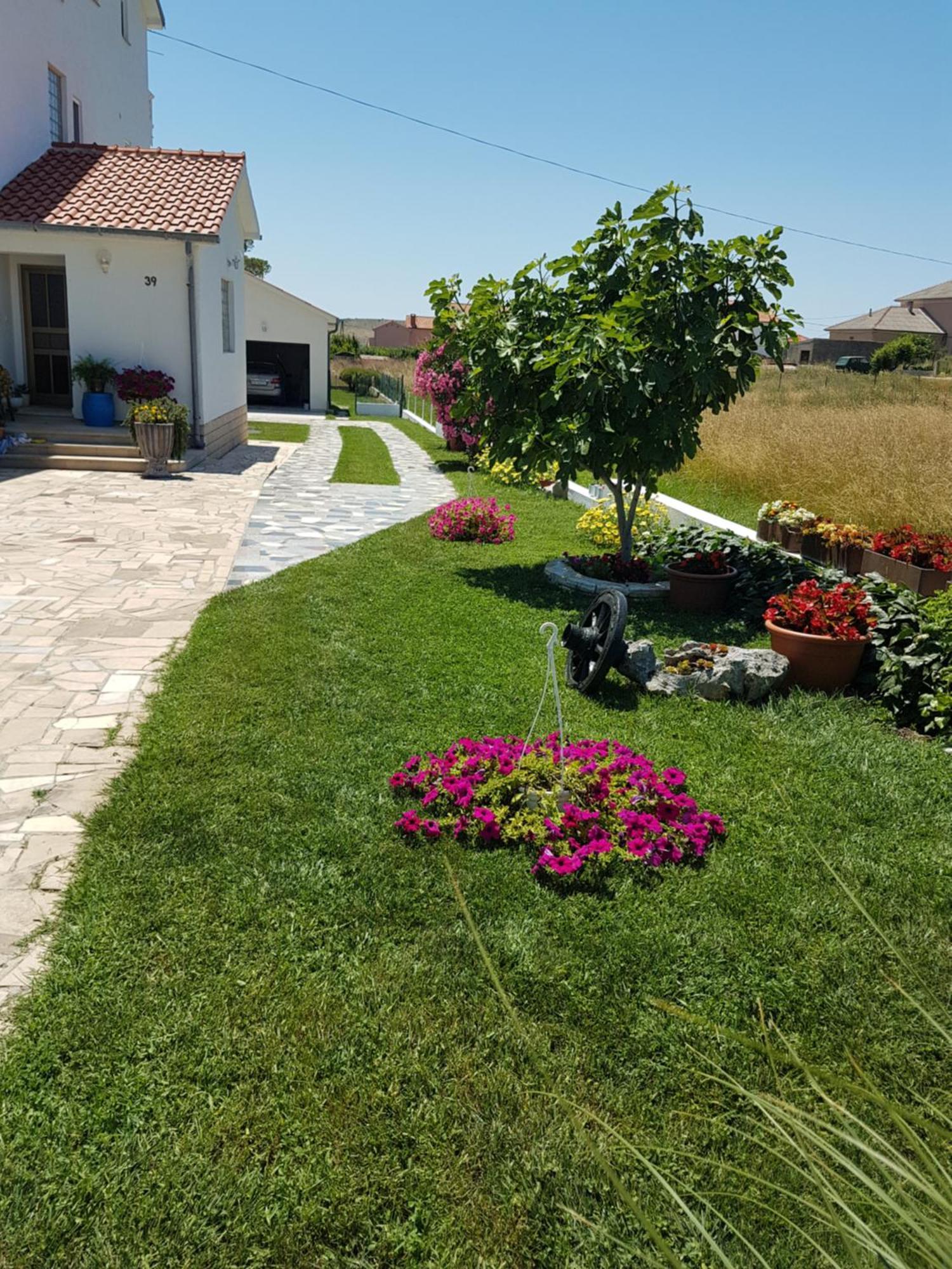 Apartments Smilja Ljubac  Bagian luar foto